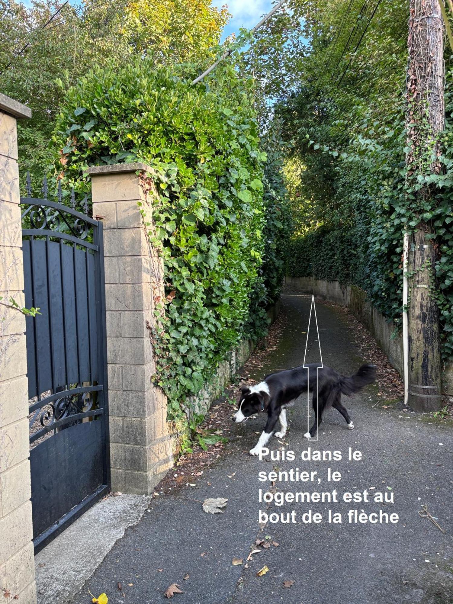 Merig'Home Chambre Bd Climatisee Dans Maison Avec Piscine Au Calme En Ville, Sdb & Toilettes Prives Angoulême Exterior foto